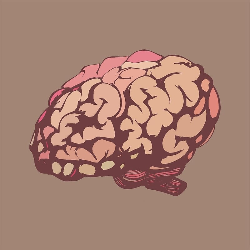 Brain Illustration